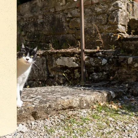 La Casina Di Tina Apartmán *